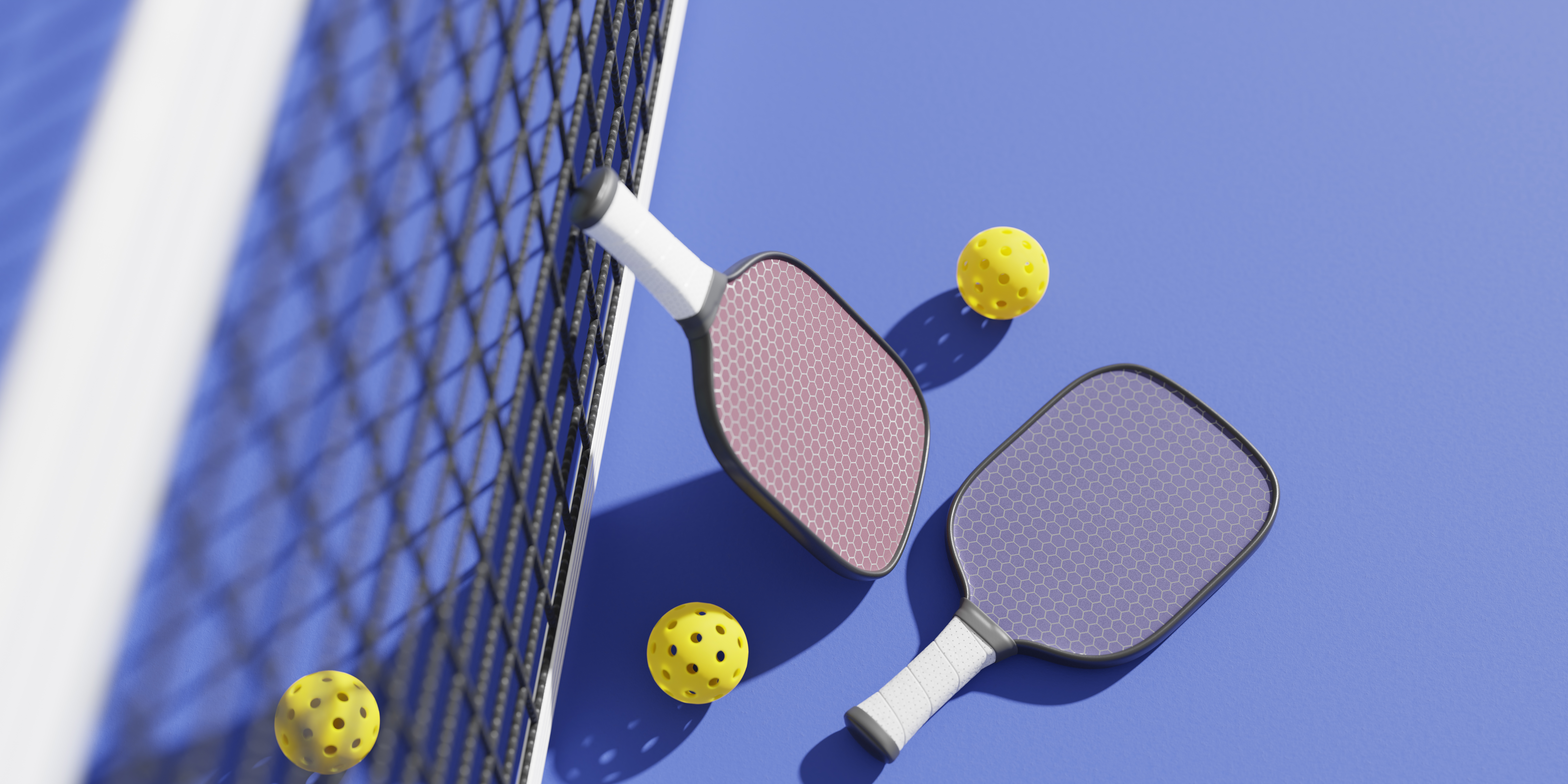 Pickleball rackets en net