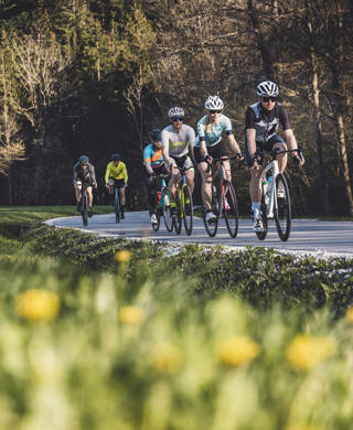 Groep wielertoeristen op de baan in een mooie natuuromgeving met bomen en bloemen op de voorgrond