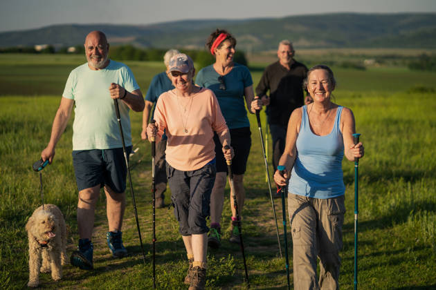 Retired friends are walking together in the country using nordic sticks accompanied with their pet dogs