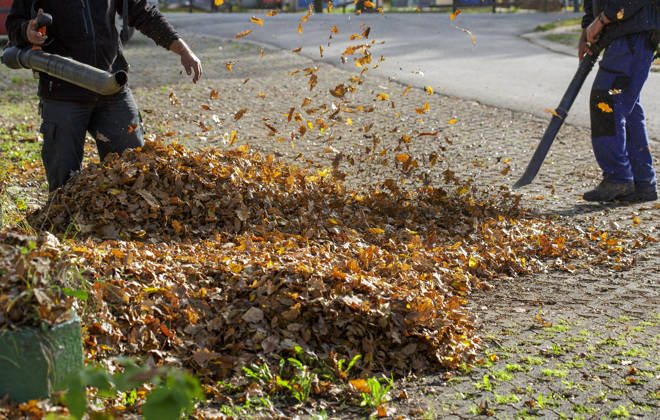 Autumn leaf cleaning In park