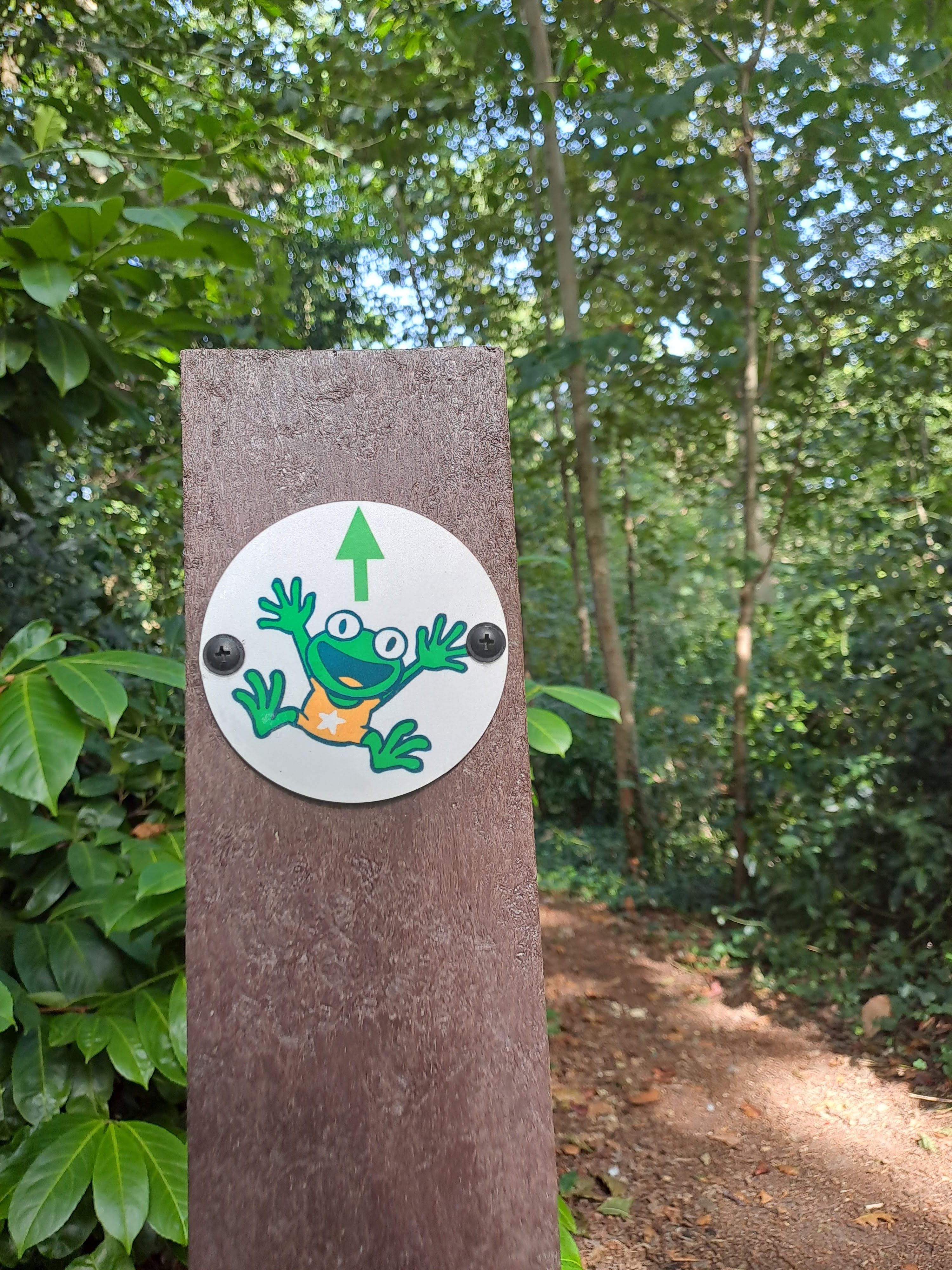 Multimove pad Maldegem foto's genomen door Jesse