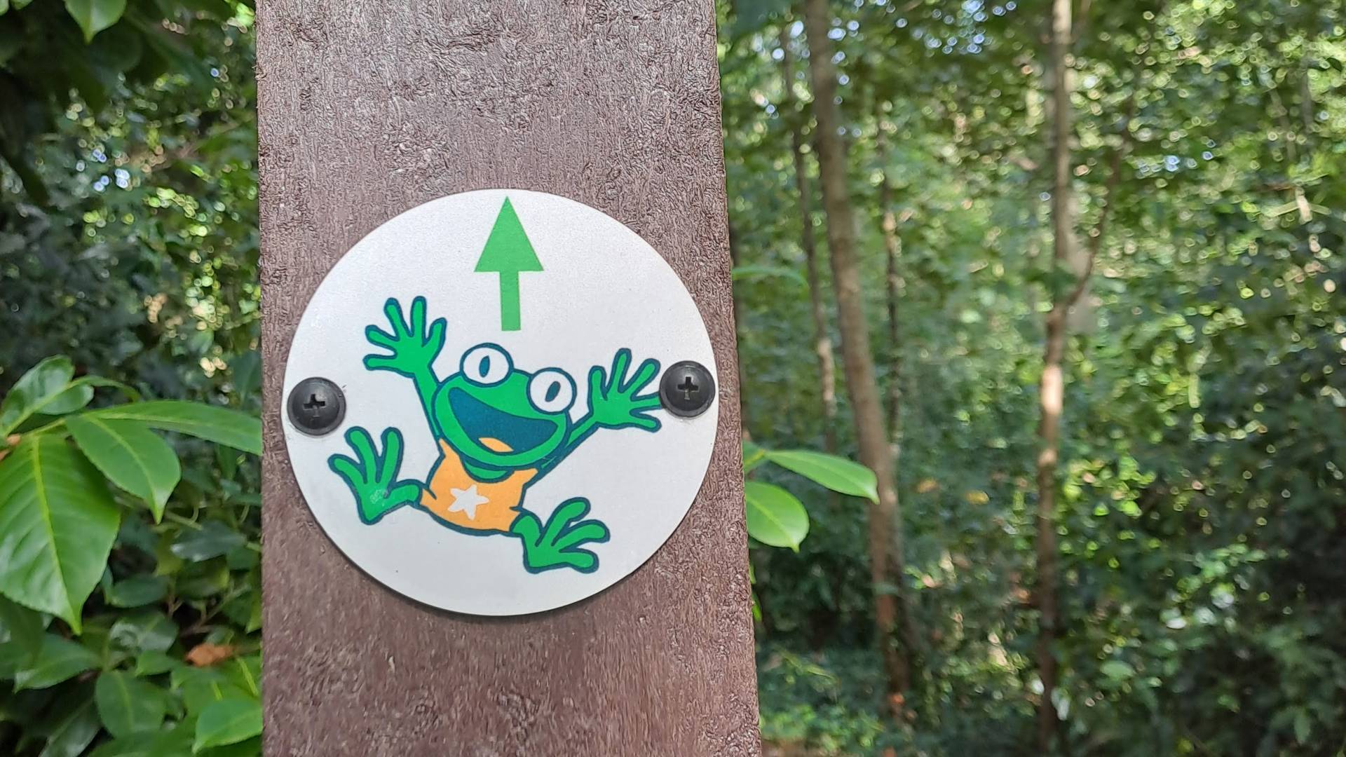 Multimove pad Maldegem foto's genomen door Jesse