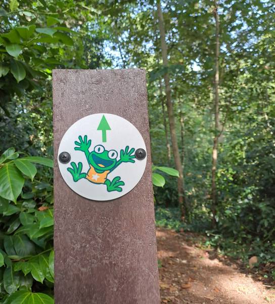 Multimove pad Maldegem foto's genomen door Jesse