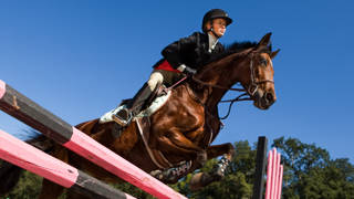 Paard met ruiter springt over rood/zwarte balk