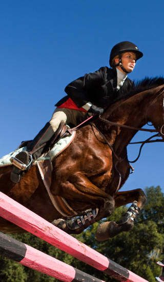 Paard met ruiter springt over rood/zwarte balk