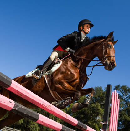 Paard met ruiter springt over rood/zwarte balk