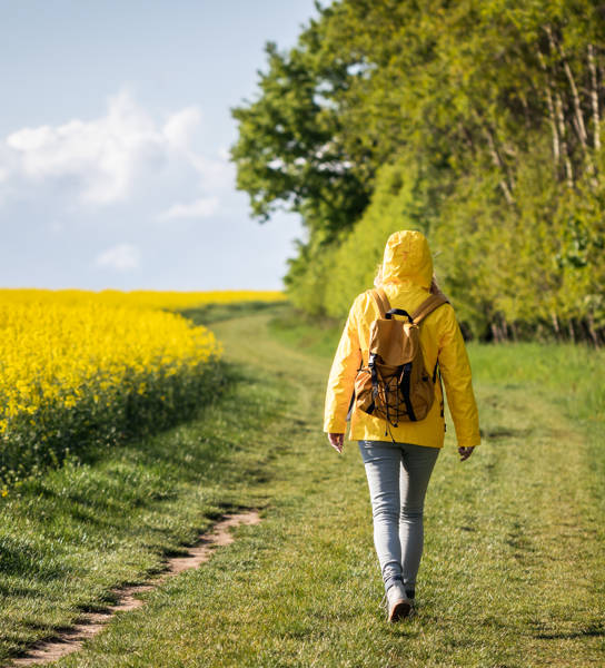 Lone woman walk on path between forest and oilseed field. Spring hike in nature