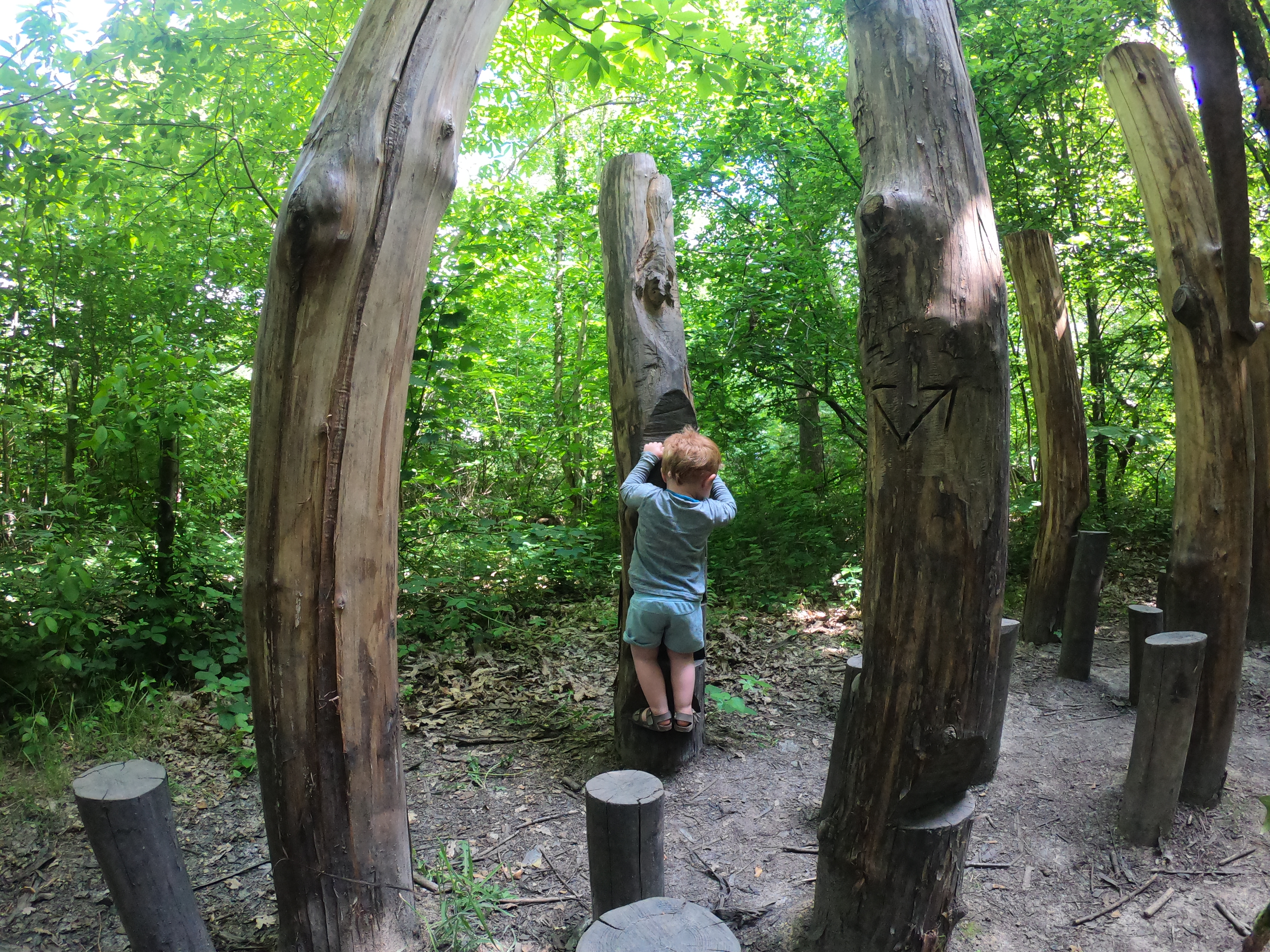 Kindje dat speelt in het bos op de toestellen van het multimovepad