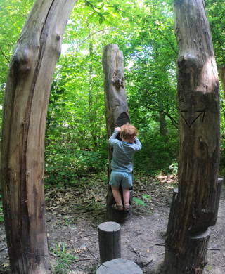 Kindje dat speelt in het bos op de toestellen van het multimovepad