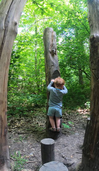 Kindje dat speelt in het bos op de toestellen van het multimovepad