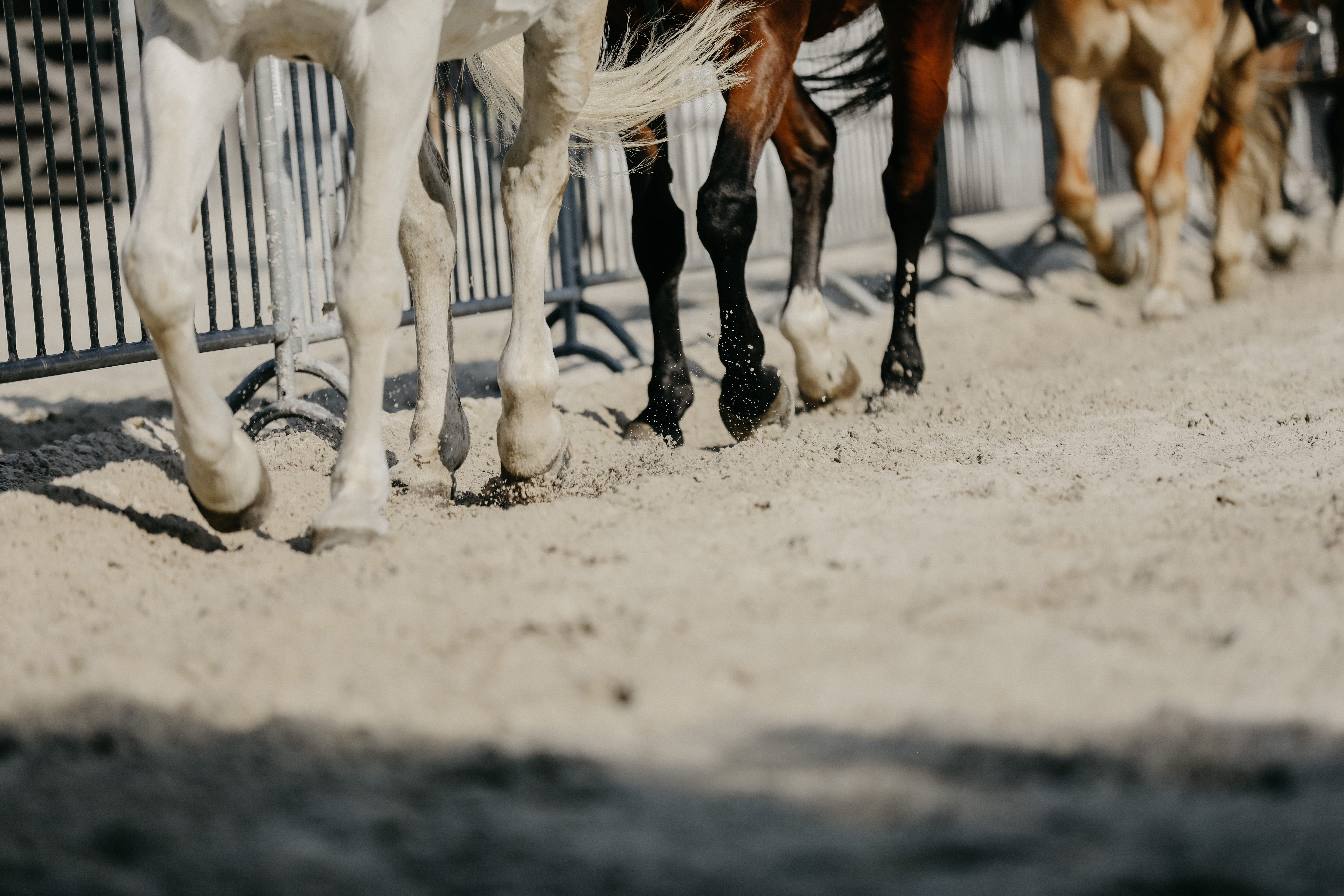 Algemeen beeld van infrastructuur van Sport Vlaanderen