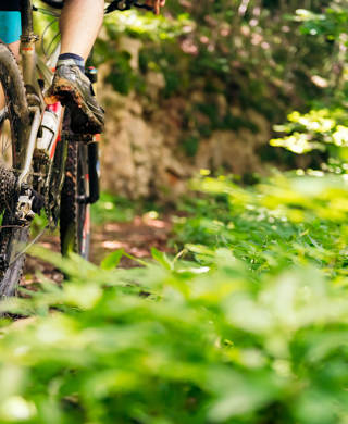 detail of the wheels of a mountain bike riding on a forest road, concept of sport and healthy lifestyle in nature, copy space for text