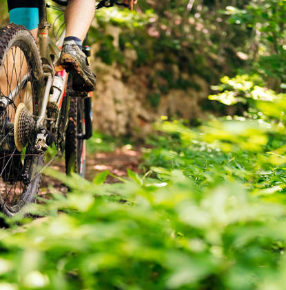 detail of the wheels of a mountain bike riding on a forest road, concept of sport and healthy lifestyle in nature, copy space for text