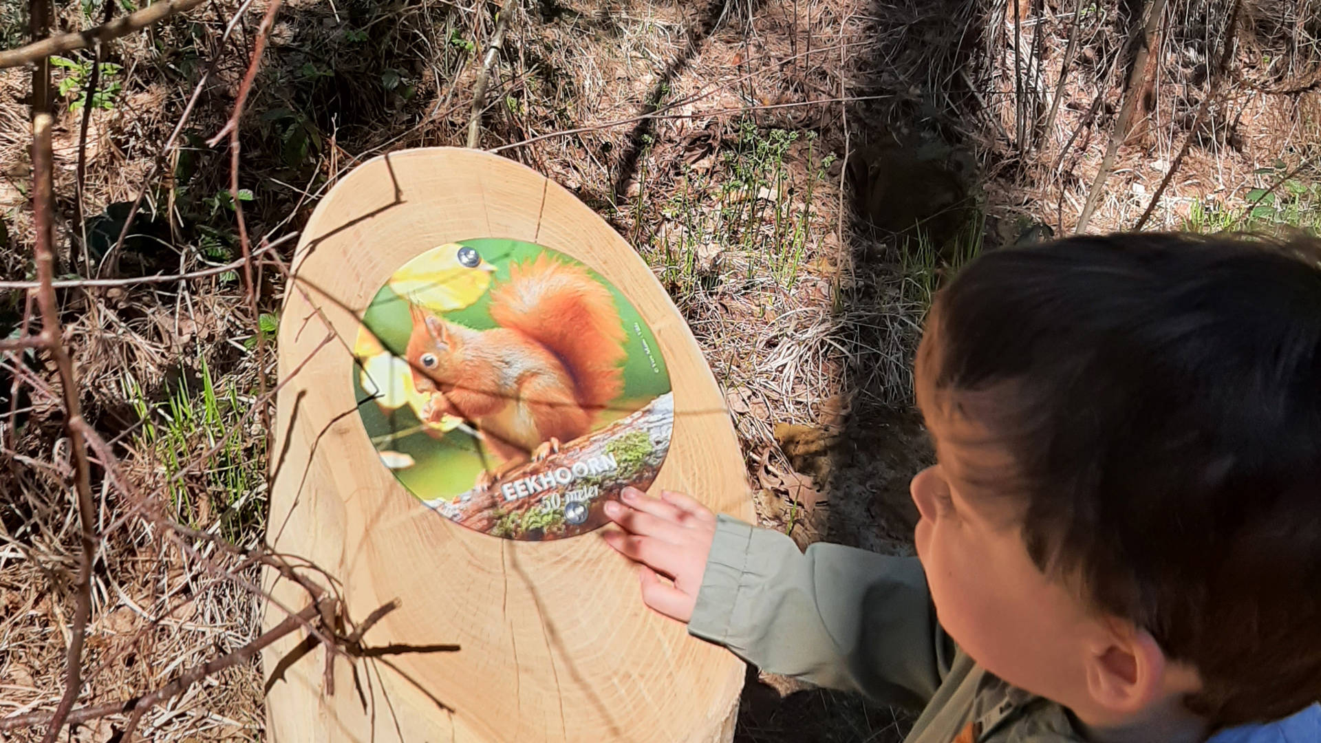 Twee kleuters aan het spelen op het multimovepad.