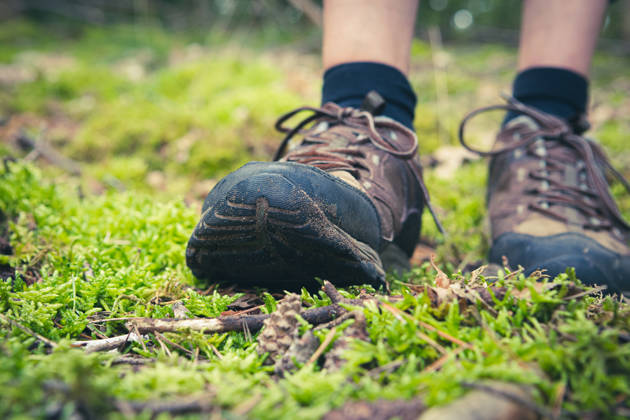 Wandelschoenen op bosgrond