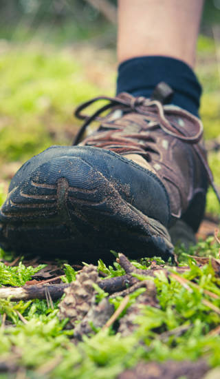 Wandelschoenen op bosgrond