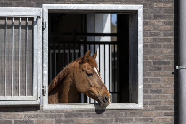 Hierop zien jullie onze paarden en binnenpiste en te Genk