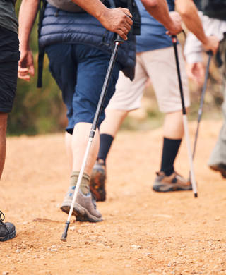 Hiking, sports and feet of people walking for adventure, healthy body and fitness in outdoor forest. Travel, freedom and shoes of hikers for exercise wellness, trekking and cardio workout in woods