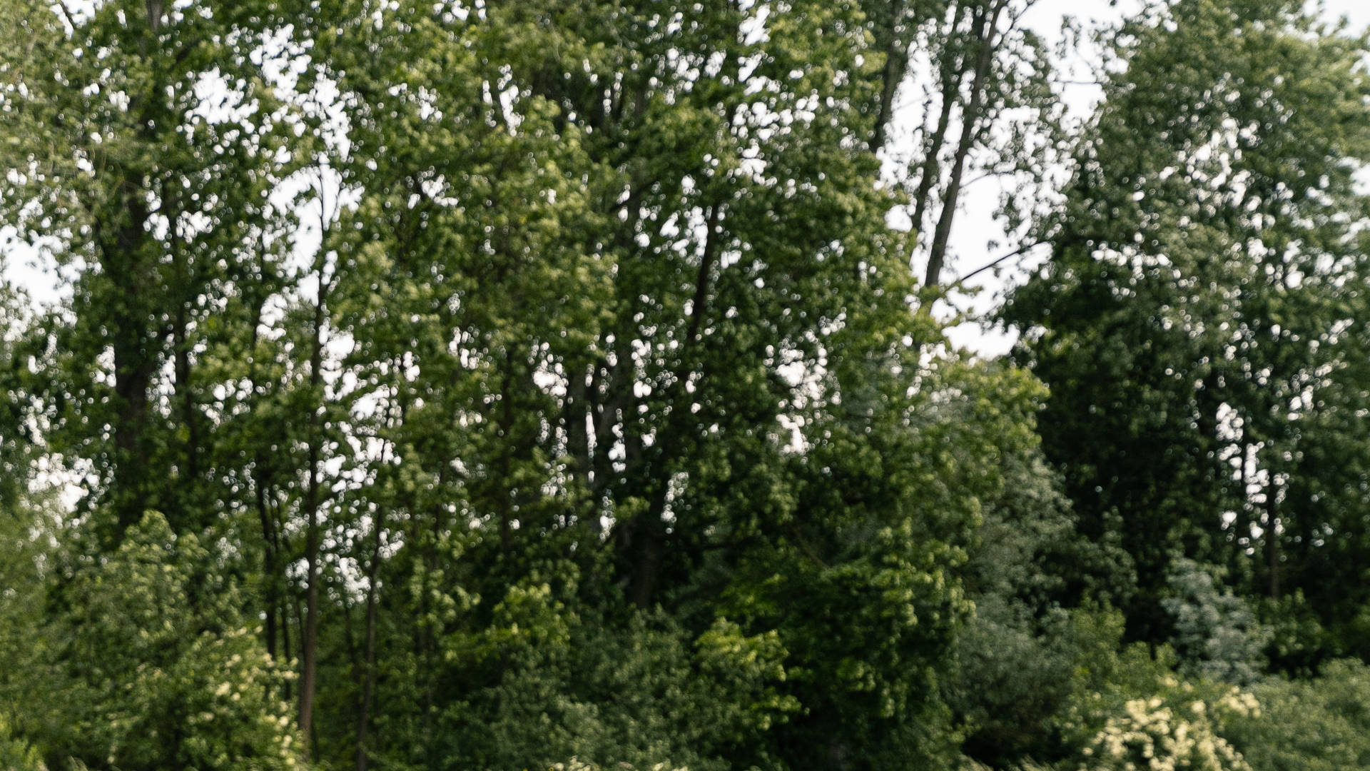 In Willebroek kan je als teambuilding een bedrijfstriatlon organiseren.