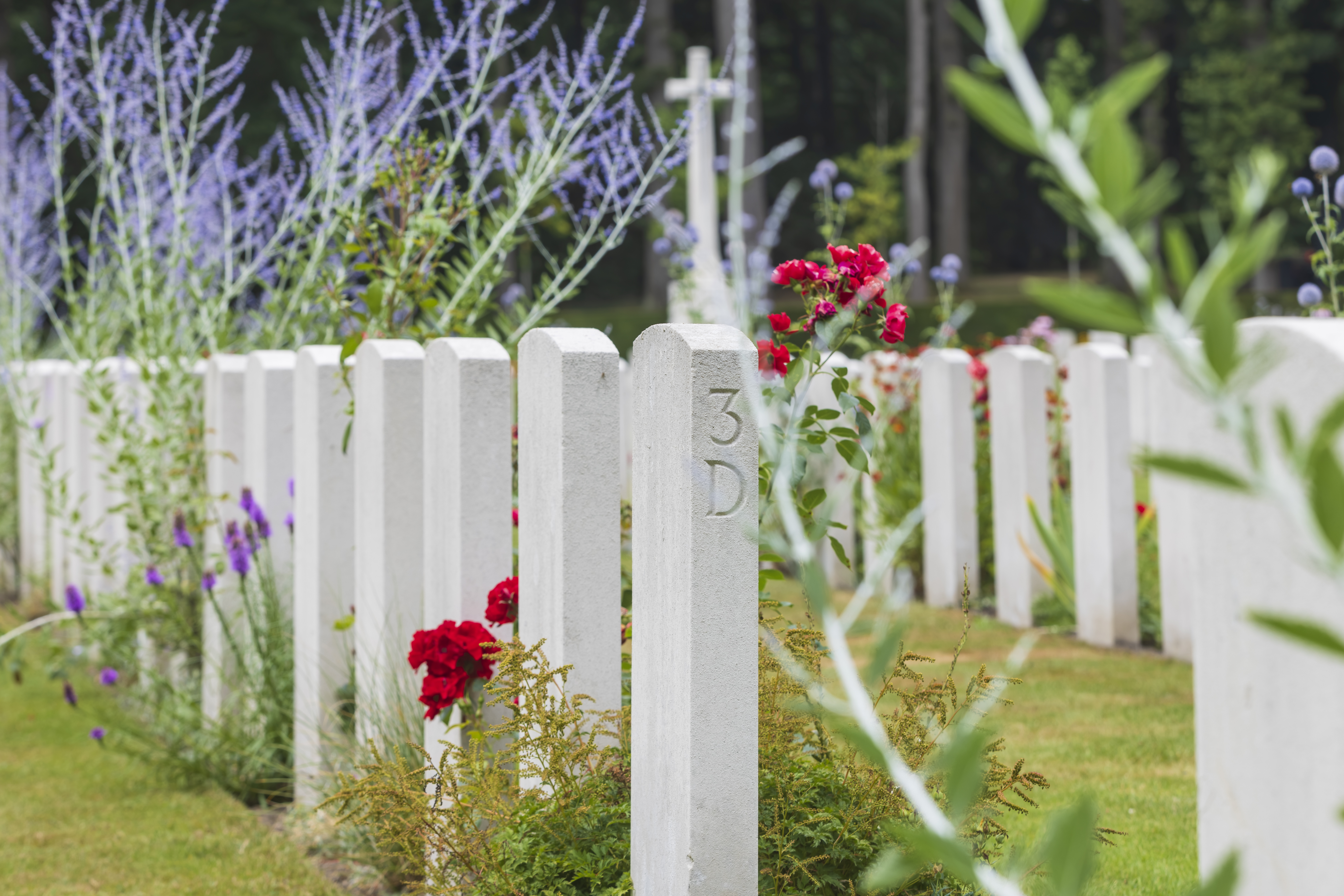 row of graves at Arnhem Oosterbeek War Cemetery; Arnhem, Netherlands