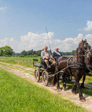 Markelo, Netherlands - June 3, 2016: Two black Frisian horses and two older man in a traditional Dutch carriage