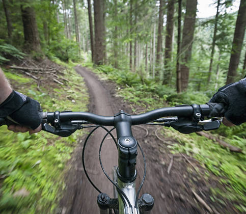 Stuur mountainbikefiets in het bos