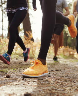 Benen en loopschoenen van groep volwassen lopers in een bos