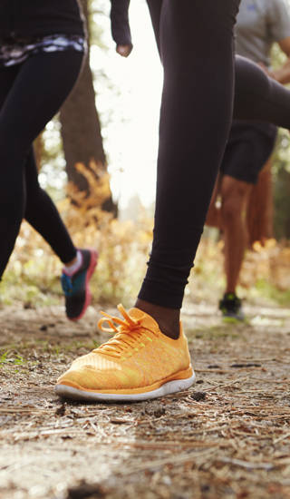 Benen en loopschoenen van groep volwassen lopers in een bos
