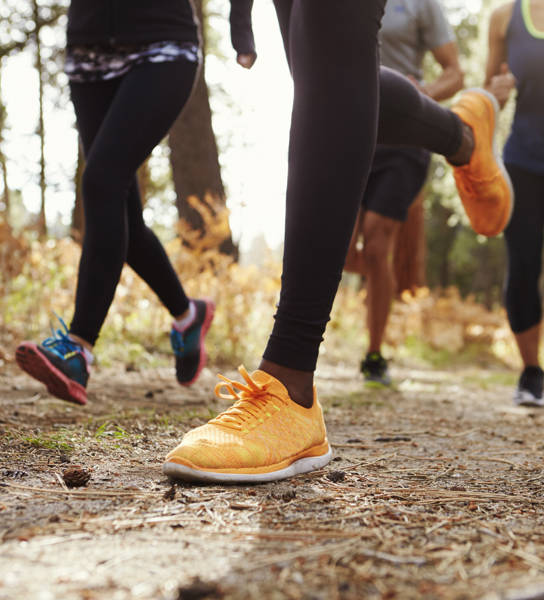 Benen en loopschoenen van groep volwassen lopers in een bos