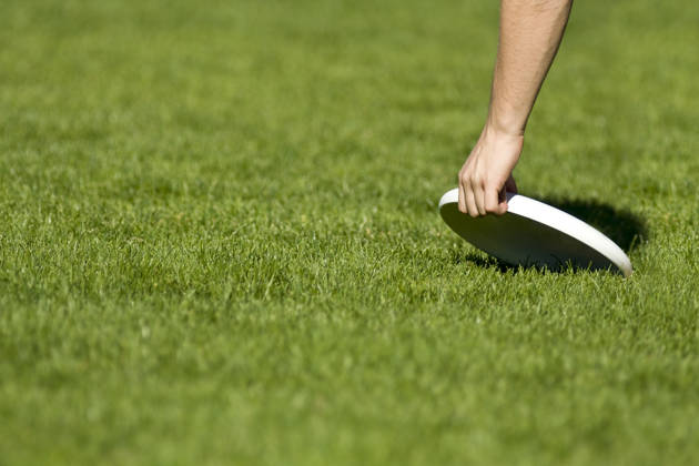A human hand picks up a disc on a grass field.