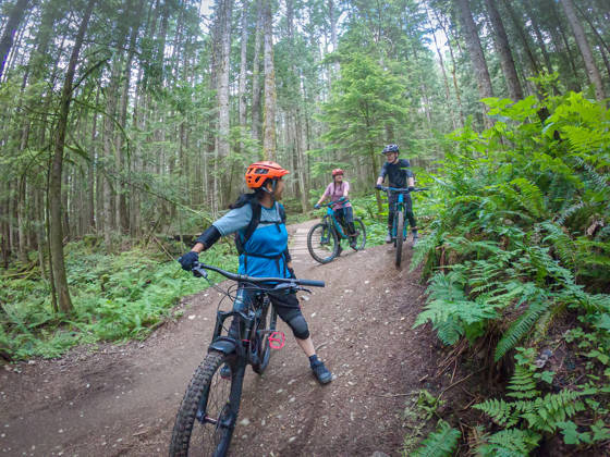 Kinderen rijden met mountainbikefiets door het bos