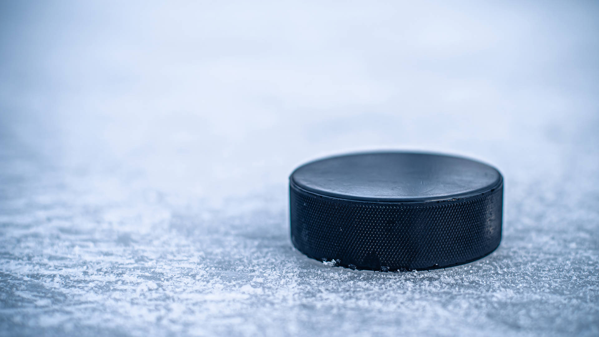 hockey puck lies on the snow macro