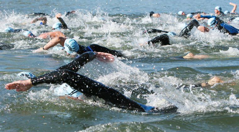 Zwemmers in open water
