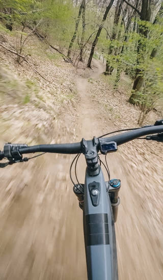 Motion blur as young man rides through springtime forest, in the Swiss Alps