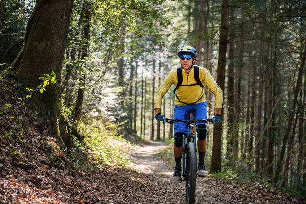 Mountainbiker in bos