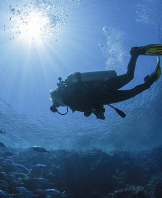 Diver swims in the Red Sea in Egypt.