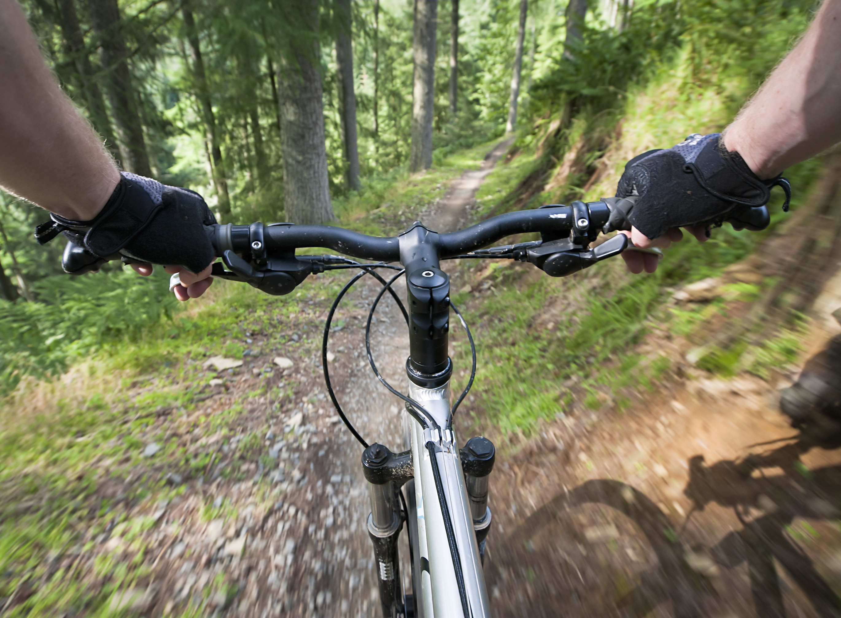 Motion blur as a mountain biker speeds down a woodland trail, photographed on the moving bike.