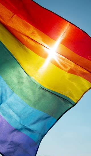 Regenboogvlag