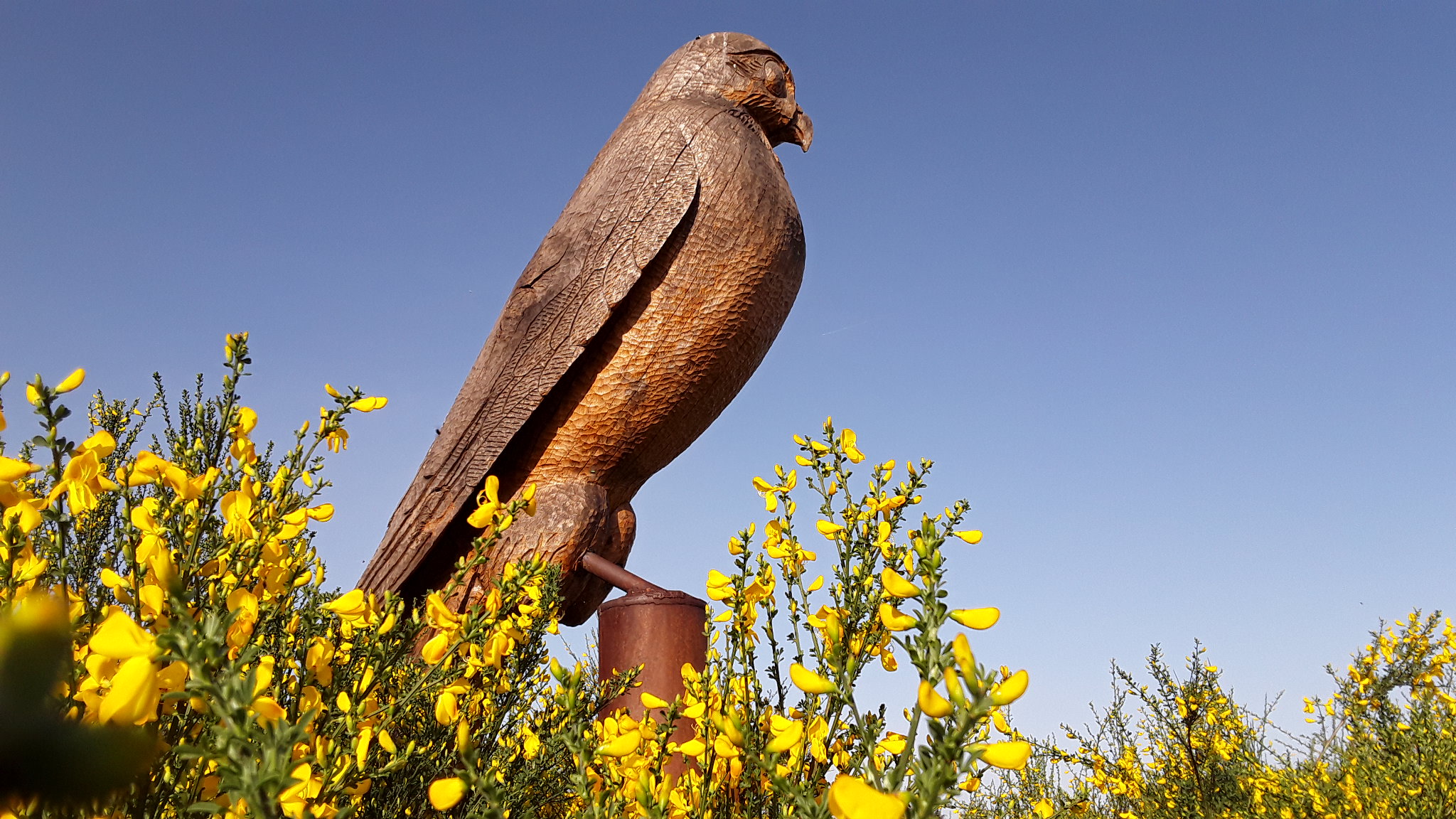Toestellen Multimovepad Meerdaalwoud Oud-Heverlee