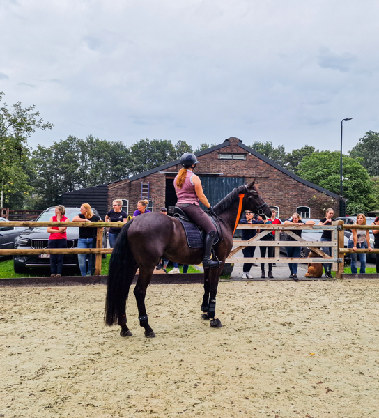 Blessurepreventie paardrijden