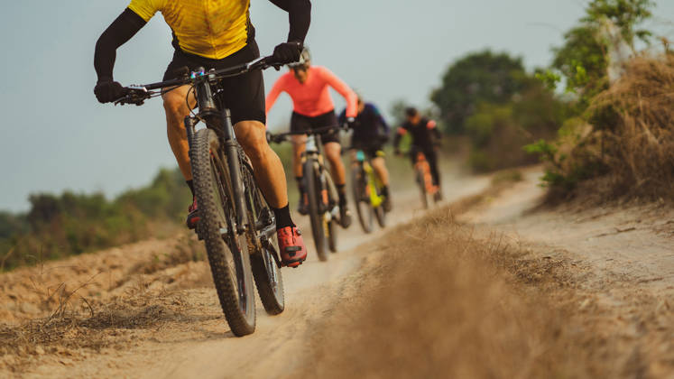 Groepje rijdt met mountainbikefiets door de heide