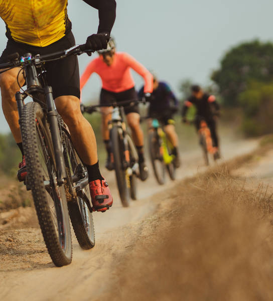 Groepje rijdt met mountainbikefiets door de heide