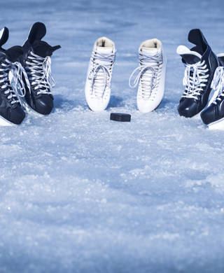 Skates for training in winter sports on ice.
