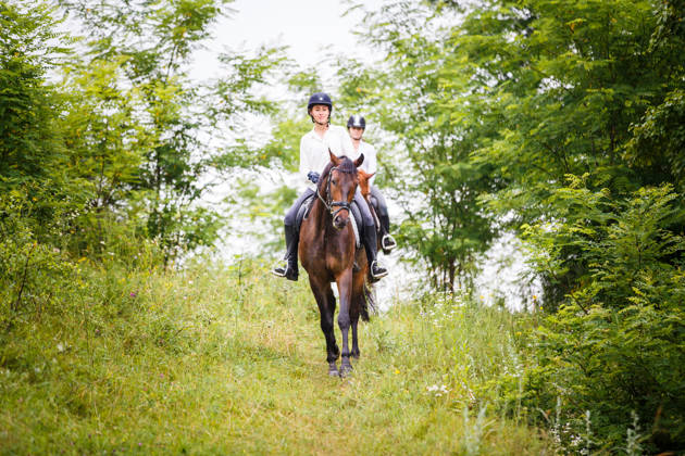 Two rider woman on horses going down from the hill. Equestrian summer activities background