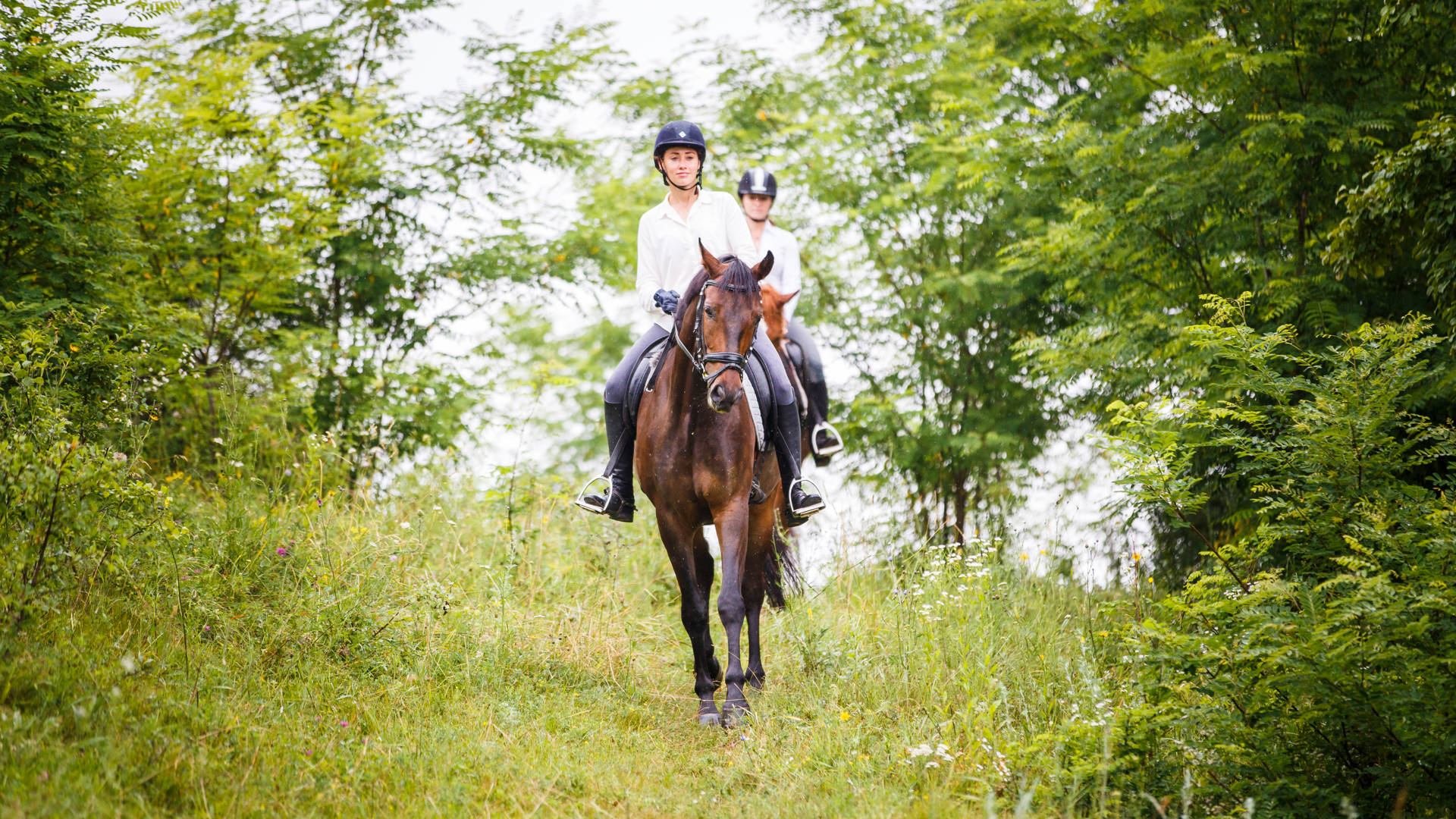Two rider woman on horses going down from the hill. Equestrian summer activities background