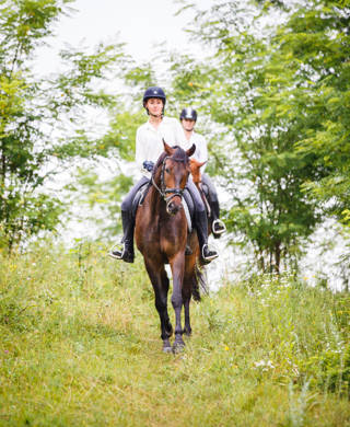 Two rider woman on horses going down from the hill. Equestrian summer activities background
