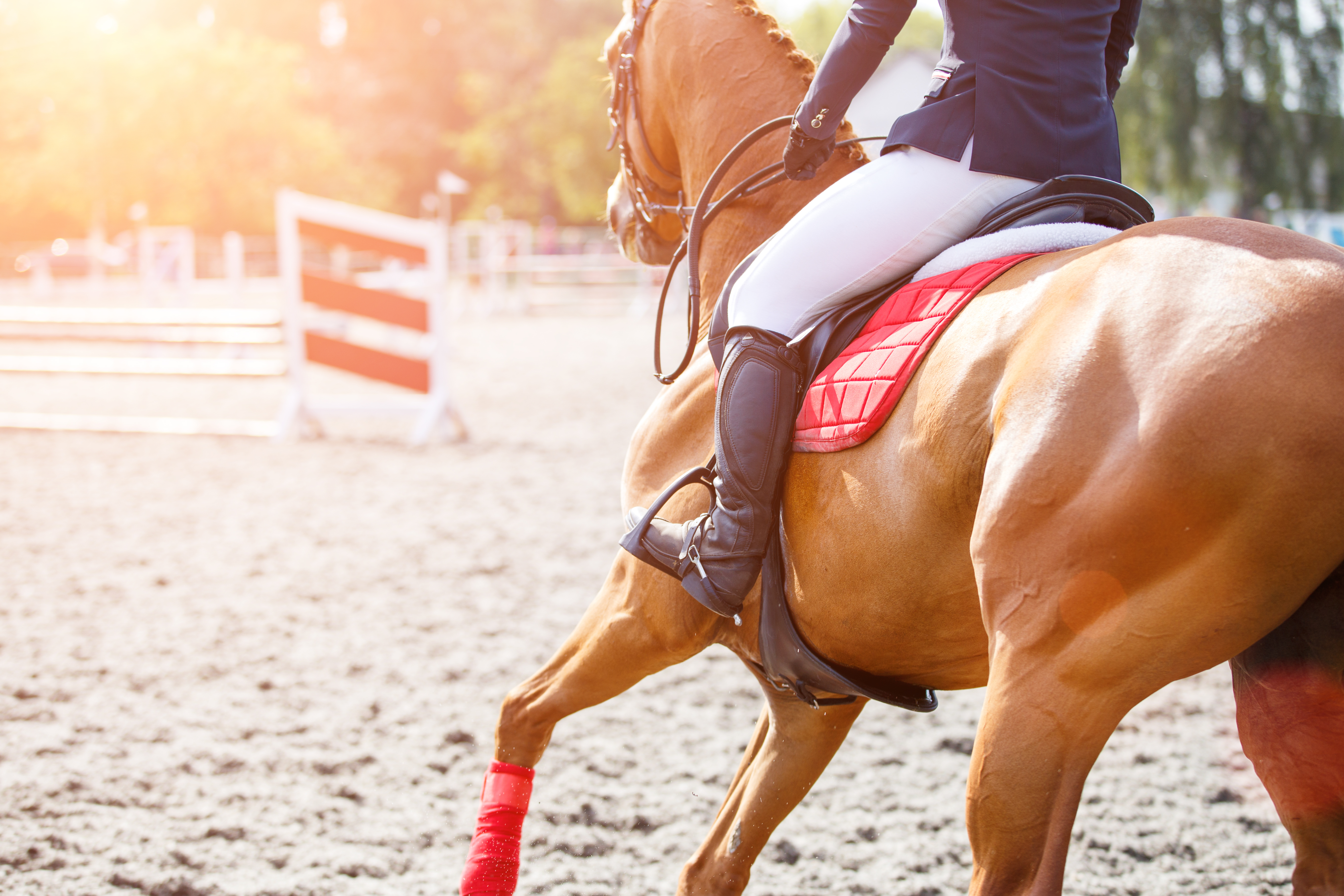 Young girl on sorrel horse galloping on her course on show jumping competition. Image with copy space