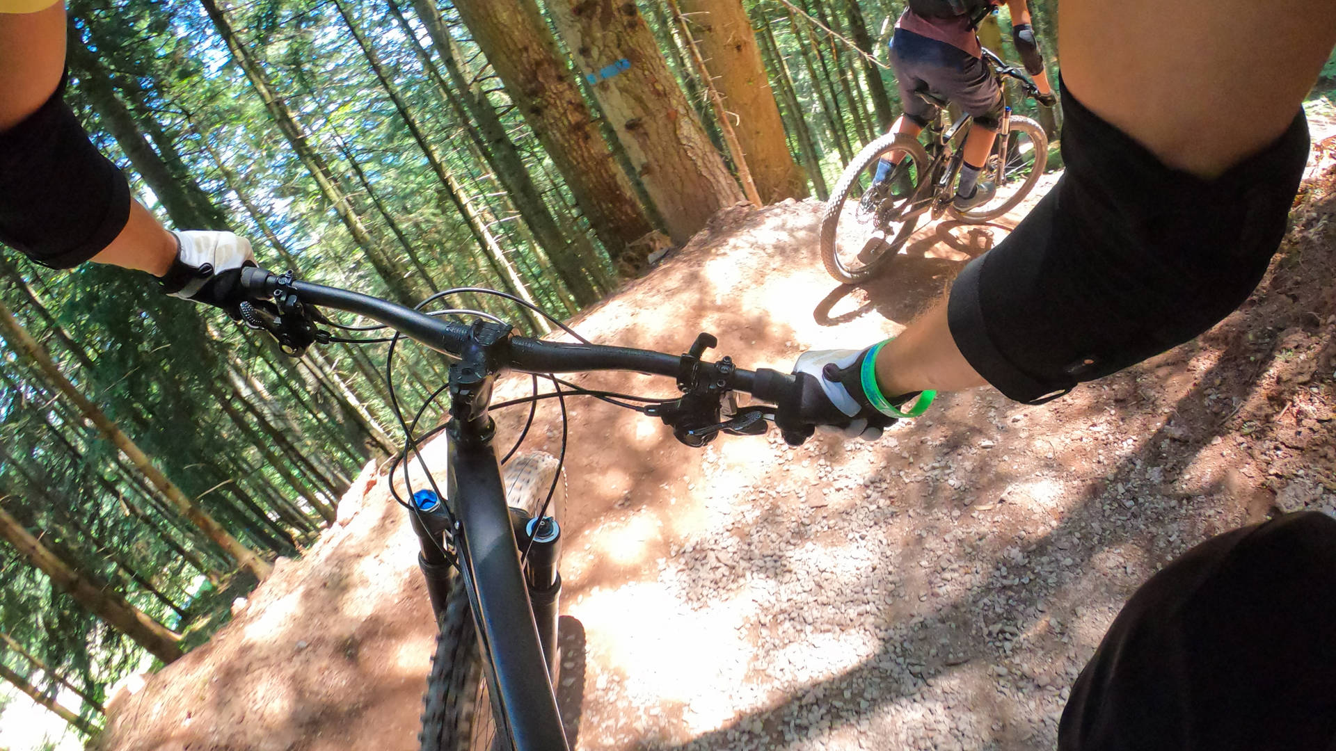 Groepje rijdt met mountainbikefiets door het bos