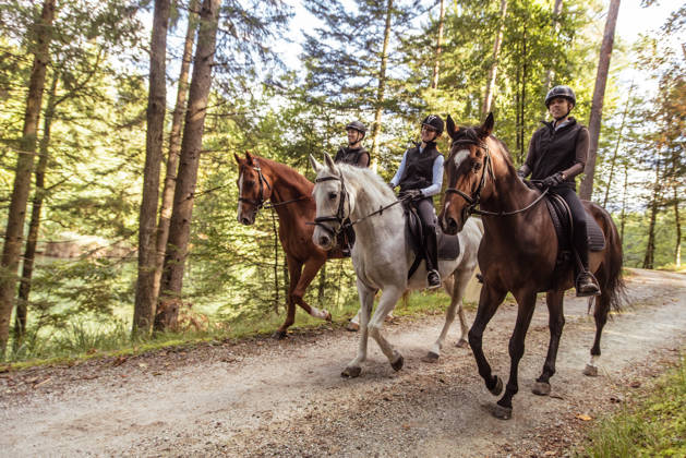 Three young women riding horses on dirt road in forest.