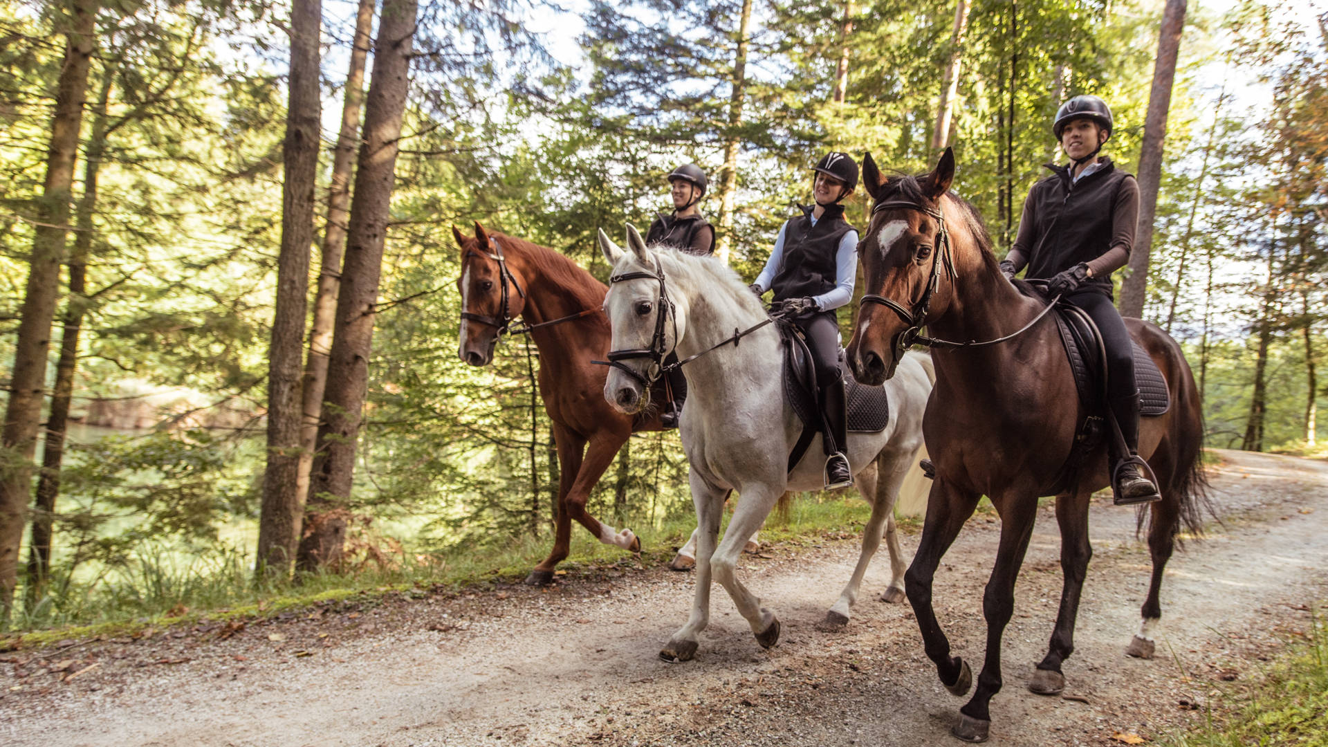Three young women riding horses on dirt road in forest.